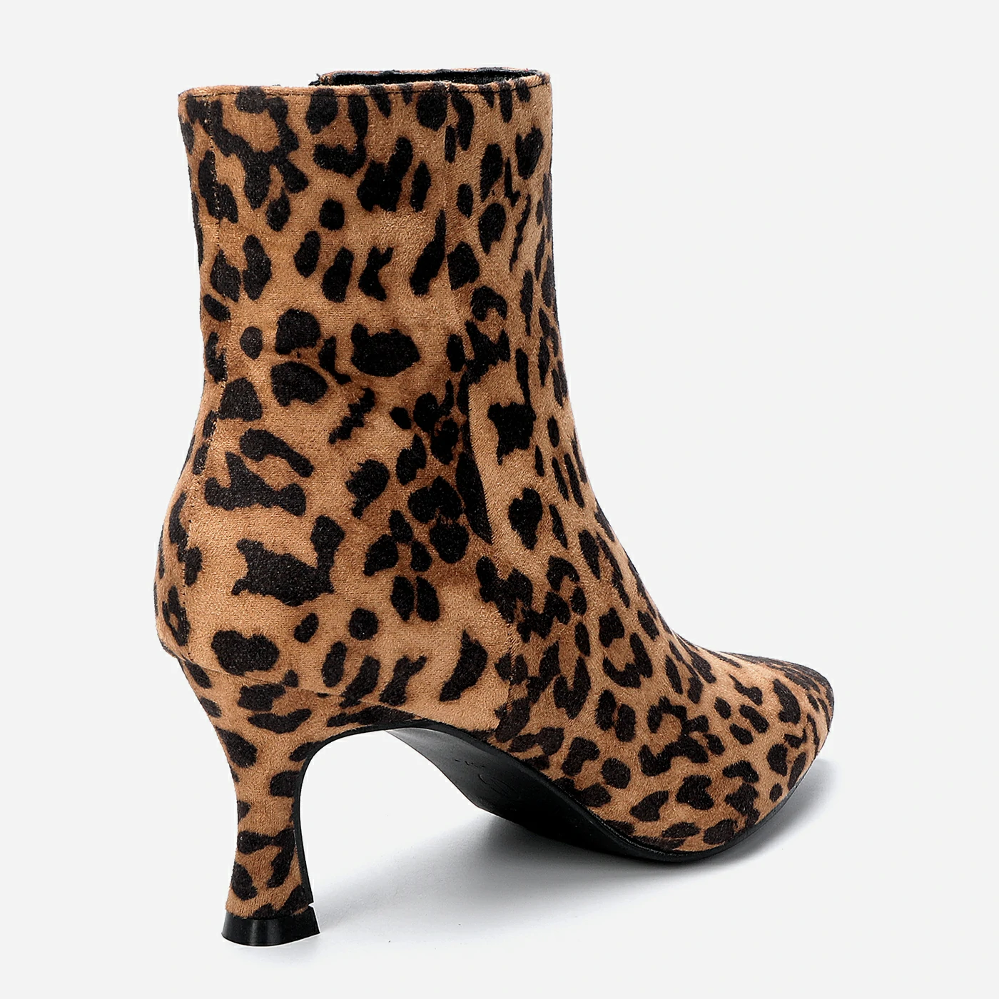 מגפון עקב מנומר 41