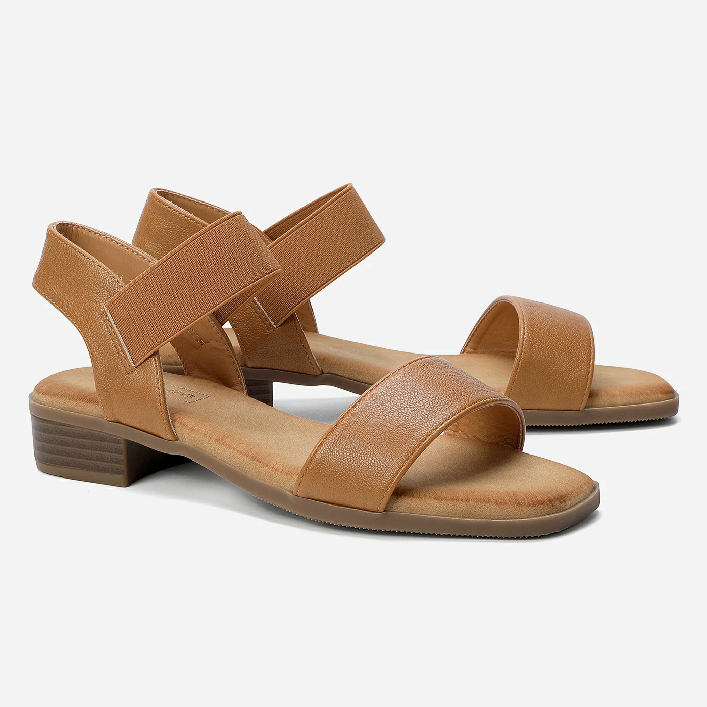 נוחות כאמל 36