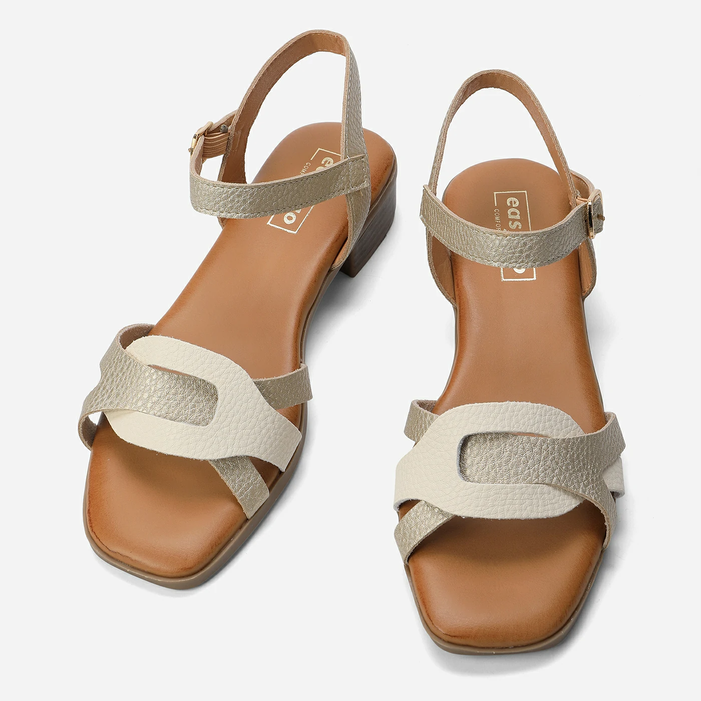 נוחות זהב 37