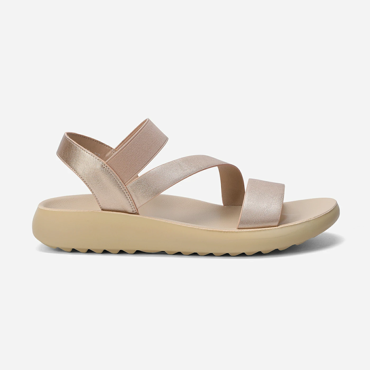 נוחות רוזגולד 41